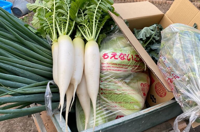 IMG_20201209_180158_404