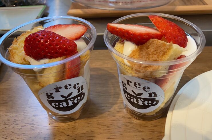 IMG_20210306_111809_161