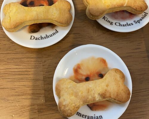 IMG_20210306_111225_583