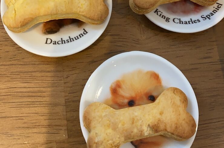 IMG_20210306_111225_583